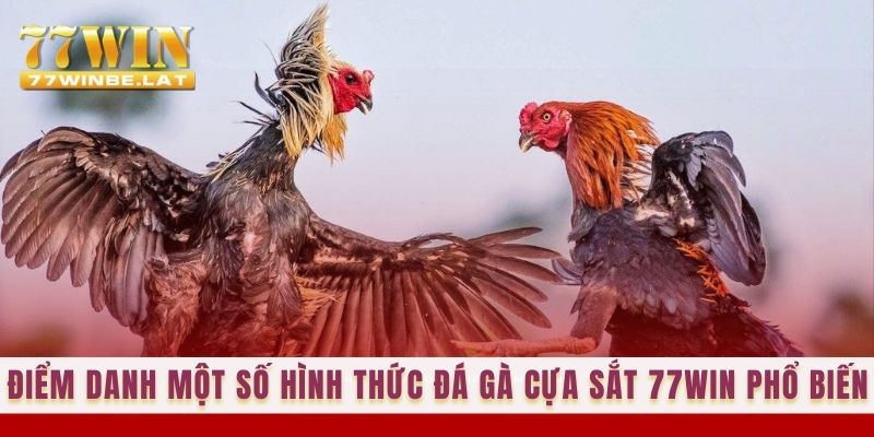 Điểm danh một số hình thức đá gà cựa sắt 77win phổ biến