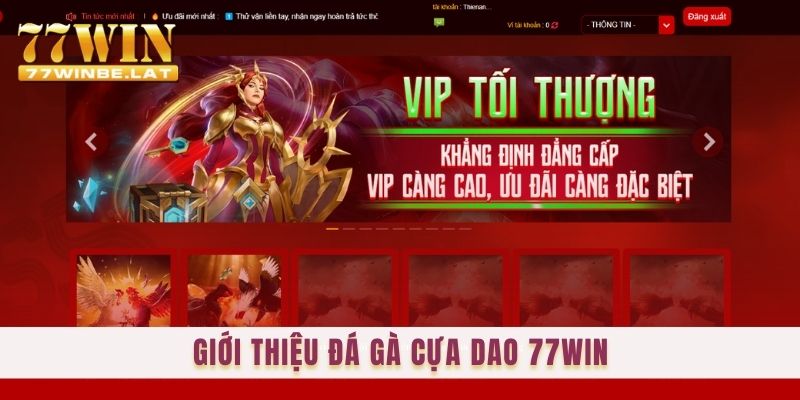 Giới thiệu đá gà cựa dao 77win