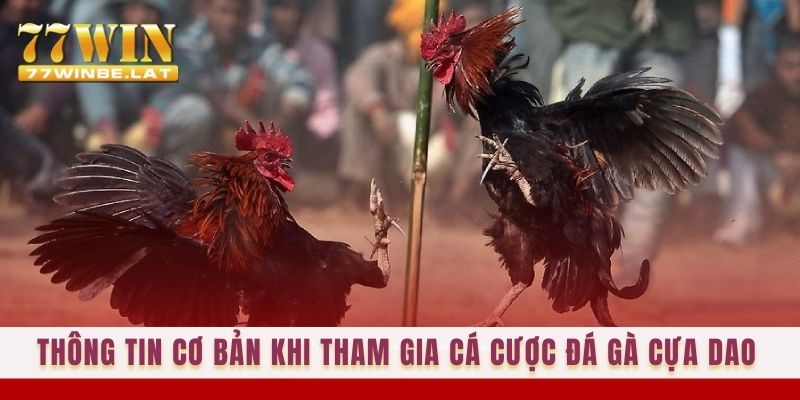 Thông tin cơ bản khi tham gia cá cược đá gà cựa dao 