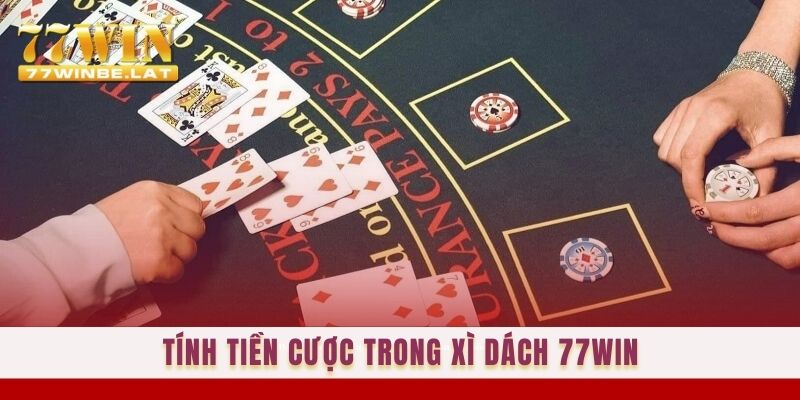 Tính tiền cược trong xì dách 77win