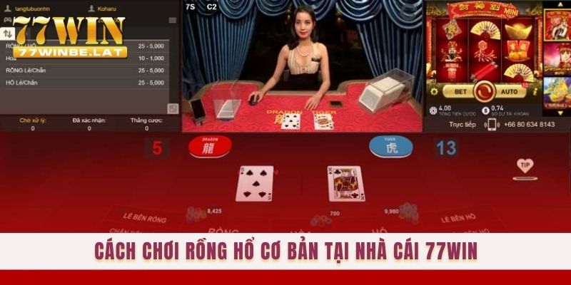 Cách chơi Rồng Hổ cơ bản tại nhà cái 77win